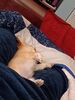Filename=20240211_001.jpg
Filesize=412KiB
Dimensions=1536x2048
Date added=Apr 10, 2024 20240211_001.jpg