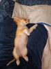 Filename=20240211_003.jpg
Filesize=297KiB
Dimensions=1536x2048
Date added=Apr 10, 2024 20240211_003.jpg