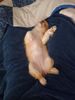 Filename=20240211_005.jpg
Filesize=272KiB
Dimensions=1536x2048
Date added=Apr 10, 2024 20240211_005.jpg