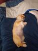 Filename=20240211_006.jpg
Filesize=312KiB
Dimensions=1536x2048
Date added=Apr 10, 2024 20240211_006.jpg