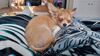 Filename=20240212_001.jpg
Filesize=381KiB
Dimensions=2048x1152
Date added=Apr 10, 2024 20240212_001.jpg