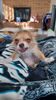 Filename=20240212_002.jpg
Filesize=325KiB
Dimensions=1152x2048
Date added=Apr 10, 2024 20240212_002.jpg