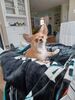 Filename=20240212_004.jpg
Filesize=480KiB
Dimensions=1536x2048
Date added=Apr 10, 2024 20240212_004.jpg