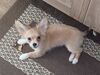 Filename=20240214_001.jpg
Filesize=485KiB
Dimensions=2048x1536
Date added=Apr 10, 2024 20240214_001.jpg