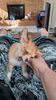 Filename=20240214_003.jpg
Filesize=375KiB
Dimensions=1152x2048
Date added=Apr 10, 2024 20240214_003.jpg