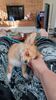 Filename=20240214_004.jpg
Filesize=329KiB
Dimensions=1152x2048
Date added=Apr 10, 2024 20240214_004.jpg