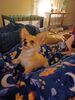 Filename=20240214_007.jpg
Filesize=391KiB
Dimensions=1536x2048
Date added=Apr 10, 2024 20240214_007.jpg