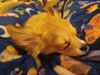 Filename=20240214_009.jpg
Filesize=368KiB
Dimensions=2048x1536
Date added=Apr 10, 2024 20240214_009.jpg