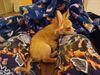 Filename=20240214_014.jpg
Filesize=402KiB
Dimensions=2048x1536
Date added=Apr 10, 2024 20240214_014.jpg