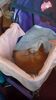 Filename=20240215_001.jpg
Filesize=314KiB
Dimensions=1152x2048
Date added=Apr 10, 2024 20240215_001.jpg