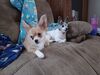 Filename=20240216_004.jpg
Filesize=386KiB
Dimensions=2048x1536
Date added=Apr 10, 2024 20240216_004.jpg