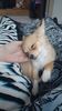 Filename=20240216_008.jpg
Filesize=280KiB
Dimensions=1152x2048
Date added=Apr 10, 2024 20240216_008.jpg