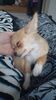 Filename=20240216_009.jpg
Filesize=286KiB
Dimensions=1152x2048
Date added=Apr 10, 2024 20240216_009.jpg