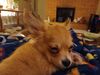 Filename=20240216_011.jpg
Filesize=287KiB
Dimensions=2048x1536
Date added=Apr 10, 2024 20240216_011.jpg