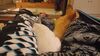 Filename=20240216_015.jpg
Filesize=343KiB
Dimensions=2048x1152
Date added=Apr 10, 2024 20240216_015.jpg