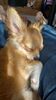 Filename=20240217_001.jpg
Filesize=433KiB
Dimensions=1152x2048
Date added=Apr 10, 2024 20240217_001.jpg
