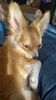 Filename=20240217_002.jpg
Filesize=455KiB
Dimensions=1152x2048
Date added=Apr 10, 2024 20240217_002.jpg