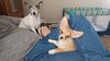 Filename=20240217_004.jpg
Filesize=466KiB
Dimensions=2048x1152
Date added=Apr 10, 2024 20240217_004.jpg