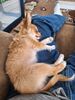 Filename=20240217_005.jpg
Filesize=668KiB
Dimensions=1536x2048
Date added=Apr 10, 2024 20240217_005.jpg