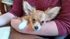Filename=20240218_008.jpg
Filesize=333KiB
Dimensions=2048x1152
Date added=Apr 10, 2024 20240218_008.jpg