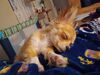 Filename=20240218_012.jpg
Filesize=324KiB
Dimensions=2048x1536
Date added=Apr 10, 2024 20240218_012.jpg