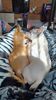 Filename=20240219_006.jpg
Filesize=372KiB
Dimensions=1152x2048
Date added=Apr 10, 2024 20240219_006.jpg