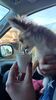 Filename=20240220_002.jpg
Filesize=273KiB
Dimensions=1152x2048
Date added=Apr 11, 2024 20240220_002.jpg