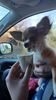 Filename=20240220_003.jpg
Filesize=257KiB
Dimensions=1152x2048
Date added=Apr 11, 2024 20240220_003.jpg
