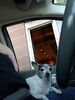 Filename=20240220_004.jpg
Filesize=373KiB
Dimensions=1536x2048
Date added=Apr 11, 2024 20240220_004.jpg