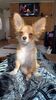 Filename=20240221_001.jpg
Filesize=421KiB
Dimensions=1152x2048
Date added=Apr 11, 2024 20240221_001.jpg
