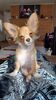 Filename=20240221_002.jpg
Filesize=413KiB
Dimensions=1152x2048
Date added=Apr 11, 2024 20240221_002.jpg