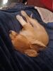 Filename=20240221_004.jpg
Filesize=349KiB
Dimensions=1536x2048
Date added=Apr 11, 2024 20240221_004.jpg