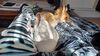 Filename=20240223_001.jpg
Filesize=466KiB
Dimensions=2048x1152
Date added=Apr 11, 2024 20240223_001.jpg