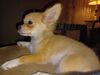 Filename=20240223_002.jpg
Filesize=295KiB
Dimensions=2048x1536
Date added=Apr 11, 2024 20240223_002.jpg