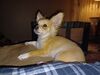 Filename=20240223_003.jpg
Filesize=365KiB
Dimensions=2048x1536
Date added=Apr 11, 2024 20240223_003.jpg