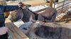 Filename=20240224_024.jpg
Filesize=581KiB
Dimensions=2048x1152
Date added=Apr 11, 2024 20240224_024.jpg