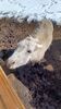 Filename=20240224_027.jpg
Filesize=554KiB
Dimensions=1152x2048
Date added=Apr 11, 2024 20240224_027.jpg