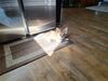 Filename=20240225_002.jpg
Filesize=737KiB
Dimensions=2048x1536
Date added=Apr 11, 2024 20240225_002.jpg