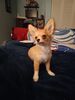 Filename=20240225_003.jpg
Filesize=203KiB
Dimensions=1536x2048
Date added=Apr 11, 2024 20240225_003.jpg
