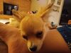 Filename=20240226_004.jpg
Filesize=235KiB
Dimensions=2048x1536
Date added=Apr 11, 2024 20240226_004.jpg