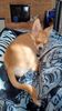 Filename=20240228_002.jpg
Filesize=474KiB
Dimensions=1152x2048
Date added=Apr 11, 2024 20240228_002.jpg