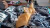 Filename=20240228_003.jpg
Filesize=515KiB
Dimensions=2048x1152
Date added=Apr 11, 2024 20240228_003.jpg