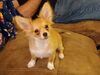 Filename=20240228_005.jpg
Filesize=387KiB
Dimensions=2048x1536
Date added=Apr 11, 2024 20240228_005.jpg