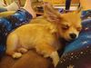 Filename=20240301_002.jpg
Filesize=345KiB
Dimensions=2048x1536
Date added=Apr 11, 2024 20240301_002.jpg