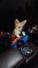Filename=20240302_005.jpg
Filesize=254KiB
Dimensions=1152x2048
Date added=Apr 11, 2024 20240302_005.jpg
