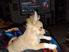 Filename=20240302_006.jpg
Filesize=441KiB
Dimensions=2048x1536
Date added=Apr 11, 2024 20240302_006.jpg