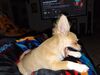 Filename=20240302_007.jpg
Filesize=461KiB
Dimensions=2048x1536
Date added=Apr 11, 2024 20240302_007.jpg