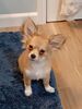 Filename=20240307_001.jpg
Filesize=364KiB
Dimensions=1536x2048
Date added=Apr 11, 2024 20240307_001.jpg