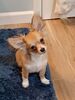 Filename=20240307_002.jpg
Filesize=373KiB
Dimensions=1536x2048
Date added=Apr 11, 2024 20240307_002.jpg