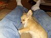Filename=20240308_001.jpg
Filesize=918KiB
Dimensions=2048x1536
Date added=Apr 11, 2024 20240308_001.jpg